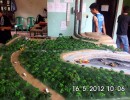 Maket Pertambangan Batu bara 1